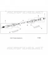 DRIVE TRAIN, POSTERIORE ALBERO