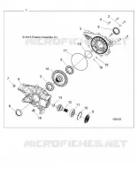 TRASMISSIONE, REAR GEARCASE INTERNALS