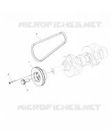 MOTORE, DRIVE PULEGGIA and DRIVE BELT