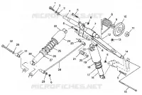 POSTERIORE COPPIA ARM