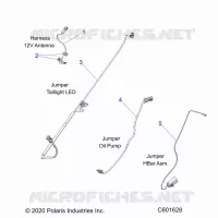 ELETTRICO, JUMPER WIRES