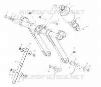 ANTERIORE COPPIA ARM (EDGE)