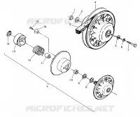 FRIZIONE DRIVEN ASSEMBLY Magnum 2x4 W957544 (4926852685B013)