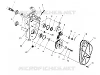 carter della catena ASSEMBLY  RXL 0956768 (4930783078B008)