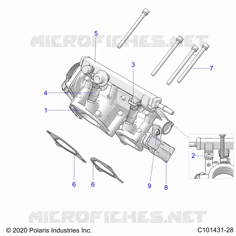 ENGINE, CORPO FARFALLATO