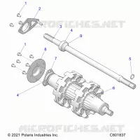 DRIVE TRAIN, JACKSHAFT AND ALBERO DI TRASMISSIONE
