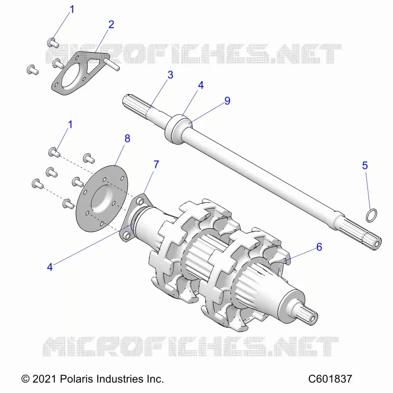 DRIVE TRAIN, JACKSHAFT AND ALBERO DI TRASMISSIONE