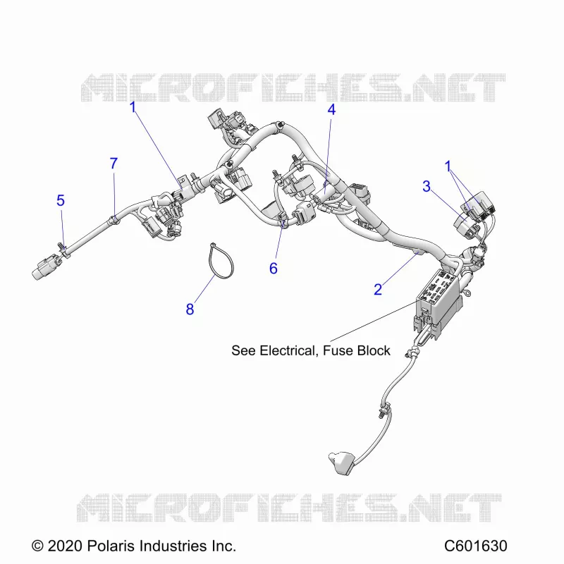 ELETTRICO, WIRE HARNESS, MAIN