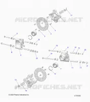SUSPENSION, PORTAPACCHI POSTERIORE