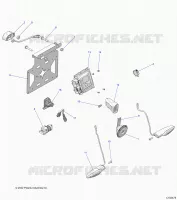 ELETTRICO, SWITCHES, HORN AND ECM