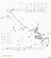ELETTRICO, HARNESS