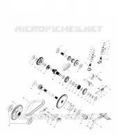 SCATOLA DEGLI INGRANAGGI (Internal Components)