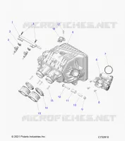 ENGINE, INTAKE MANIFOLD, CORPO FARFALLATO, FUEL RAIL