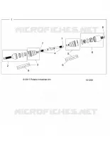 DRIVE TRAIN, ANTERIORE ALBERO