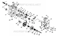 carter della catena TRAN SPORT 0970143 and EUROPEAN TRAN SPORT E970143 (4938293829B007)