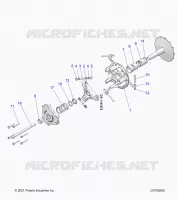 TRASMISSIONE, PRIMARY CLUTCH