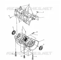 CARTER WideTrak (4921302130035A)