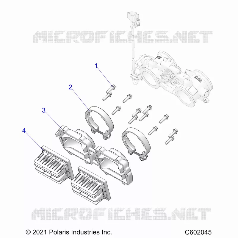 ENGINE, REED VALVE AND CORPO FARFALLATO ADAPTOR