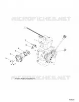 CORPO FARFALLATO AND FUEL RAIL