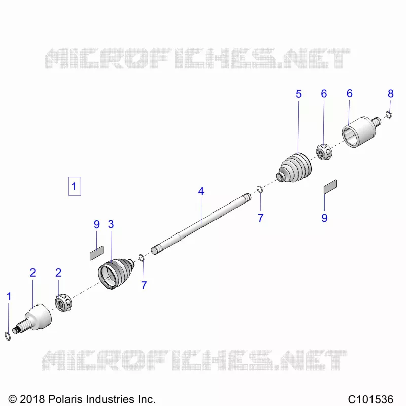 DRIVE TRAIN, ANTERIORE ALBERO
