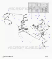 ELETTRICO, WIRE HARNESS