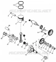 PISTONEEE   ALBERO MOTORE SCRAMBLER 400L W97BC38C (4939893989C014)
