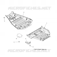 BODY, SCIARED PLATES
