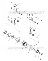 PISTON AND ALBERO MOTORE (4909550955017A)