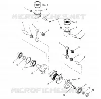 PISTONEEE   ALBERO MOTORE LITE GT 0953133 AND  EUROPEAN LITE GT E953133 (4928922892C006)