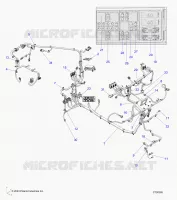 ELETTRICO, WIRE HARNESS
