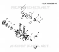 MOTORE, ALBERO MOTORE