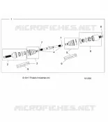 DRIVE TRAIN, ANTERIORE ALBERO