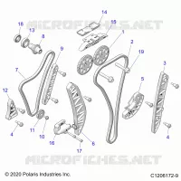 ENGINE, TIMING AND OIL CATENA DRIVES