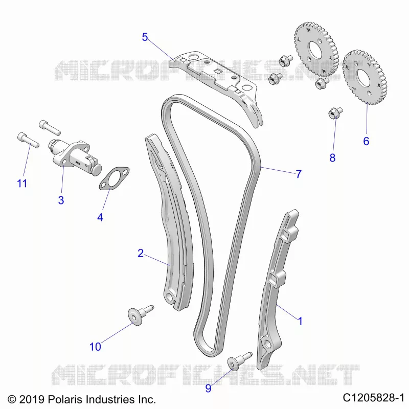 CAM CATENA AND TENSIONER