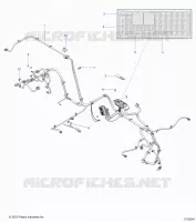 ELETTRICO, WIRE HARNESS