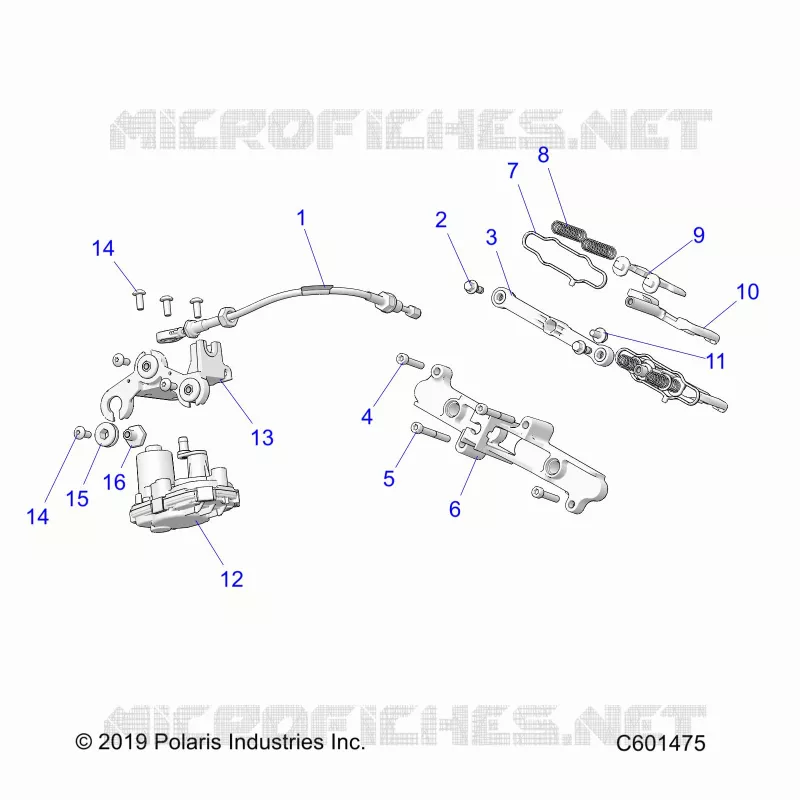 ENGINE, VALVOLA SCARICO ASM. AND ACTUATOR