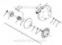 FRIZIONE DRIVEN ASSEMBLY 250 4x6 /W928627 (4922902290034A)