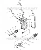POMPA OLIO MONTAGGIO XLT TOURING 0952857 and  EUROPEAN XLT TOURING E952857 (4929172917C013)