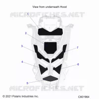 CAPPUCCIO FOAM/SEAL