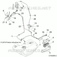 BODY, CARBURANTE LINES, EVAP