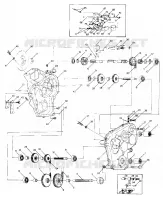 FRENO   carter della catena LTR (4914141414019A)