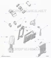 ELETTRICO, SWITCHES, SENSORS AND ECM