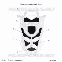 CAPPUCCIO FOAM/SEAL