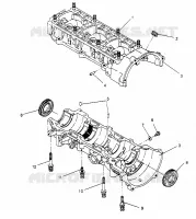 CARTER ASSEMBLY XLT 0950756, XLT SKS 0950556,  XLT SKS EURO E950556   XL (4928842884C009)