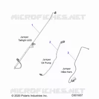 ELETTRICO, JUMPER WIRES