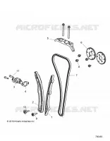 CAM CATENA AND TENSIONER
