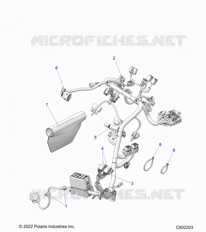 ELETTRICO, WIRE HARNESS, MAIN