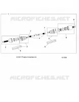 DRIVE TRAIN, ANTERIORE ALBERO