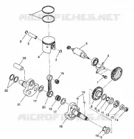 PISTONEEE   ALBERO MOTORE 4X4 350L S938139 (4924342434037A)