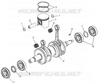 PISTONEEE   ALBERO MOTORE 700 XC 0971766 (4941814181C009)